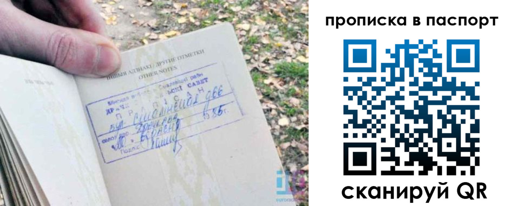 купить прописку в Заволжске